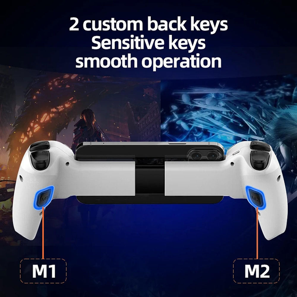 Techsuit BSP-D9 Controller, White
