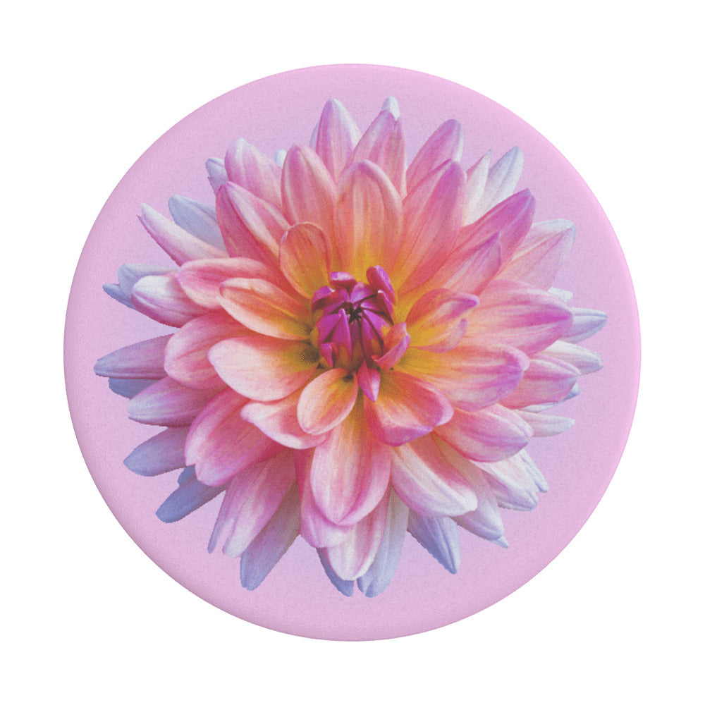 PopGrip Popsockets Dahlia Icon Support, Multicolor